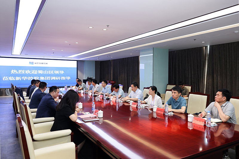 合肥市蜀山區委副書記、區長楊森一行深入新華控股集團調研指導